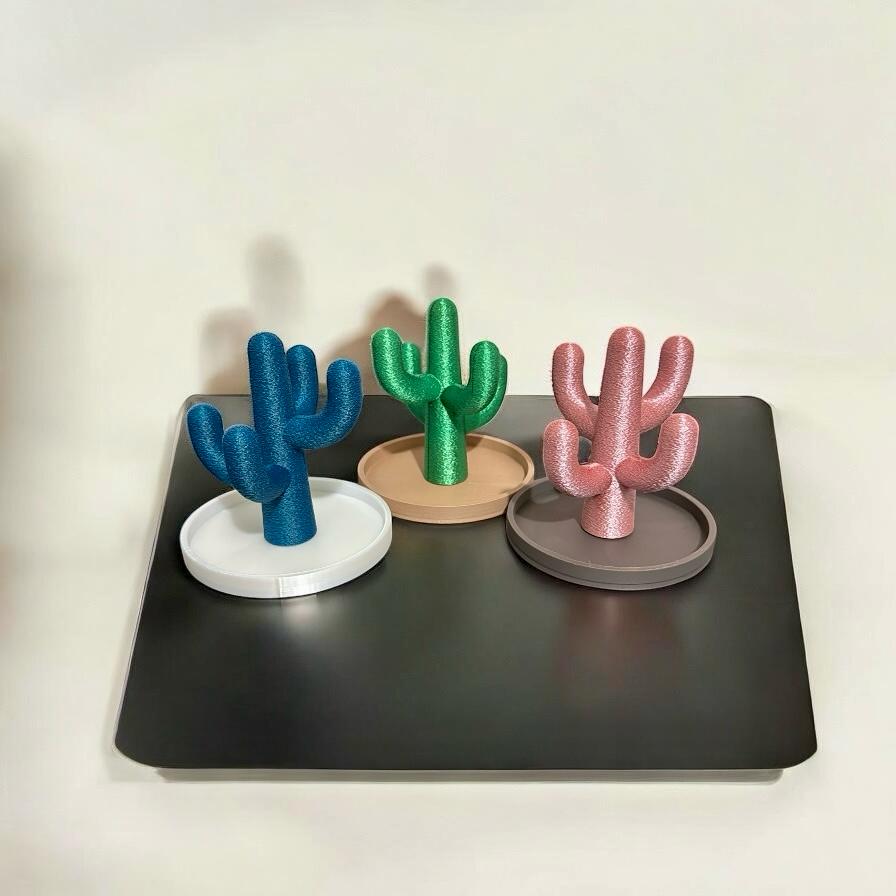Cactus Jewelry Holder!